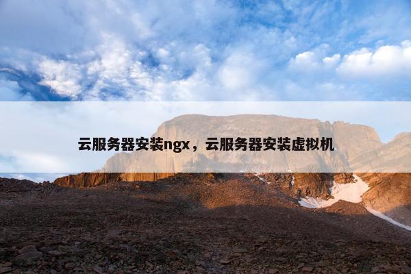 云服务器安装ngx，云服务器安装虚拟机