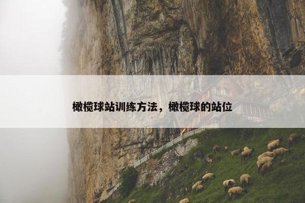 橄榄球站训练方法，橄榄球的站位
