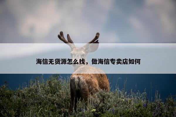 海信无货源怎么找，做海信专卖店如何