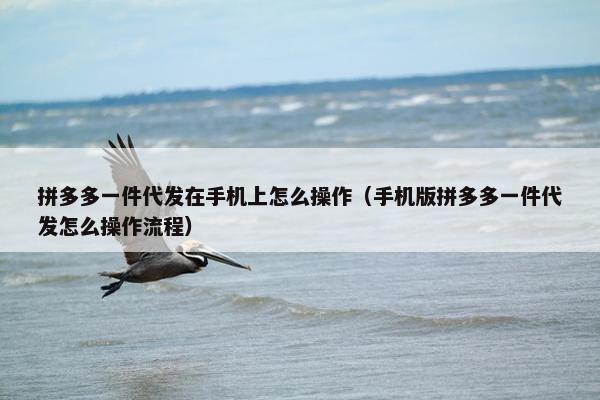 拼多多一件代发在手机上怎么操作（手机版拼多多一件代发怎么操作流程）