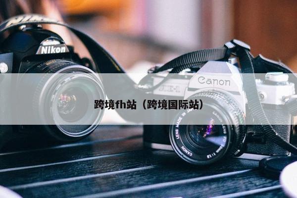 跨境fh站（跨境国际站）