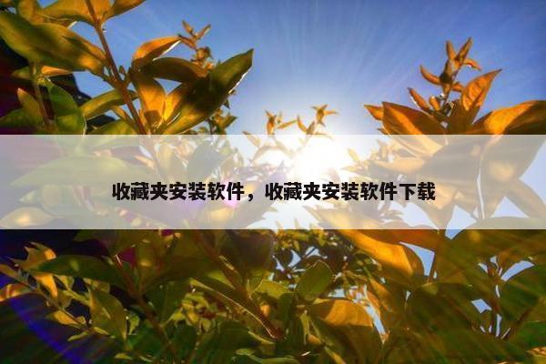 收藏夹安装软件，收藏夹安装软件下载