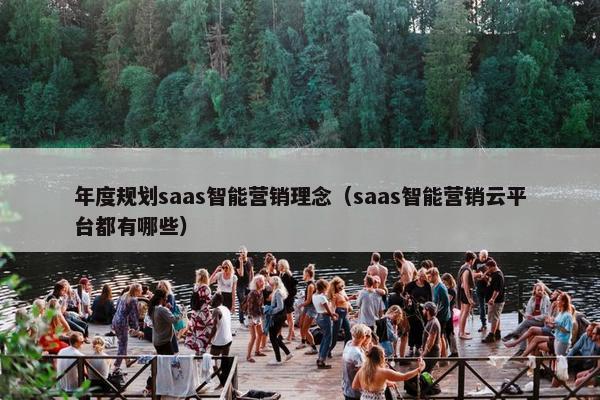 年度规划saas智能营销理念（saas智能营销云平台都有哪些）