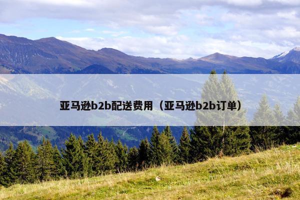 亚马逊b2b配送费用（亚马逊b2b订单）
