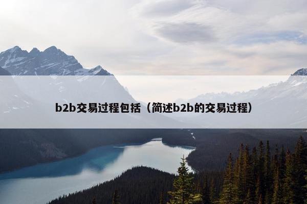 b2b交易过程包括（简述b2b的交易过程）