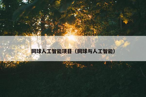 网球人工智能项目（网球与人工智能）