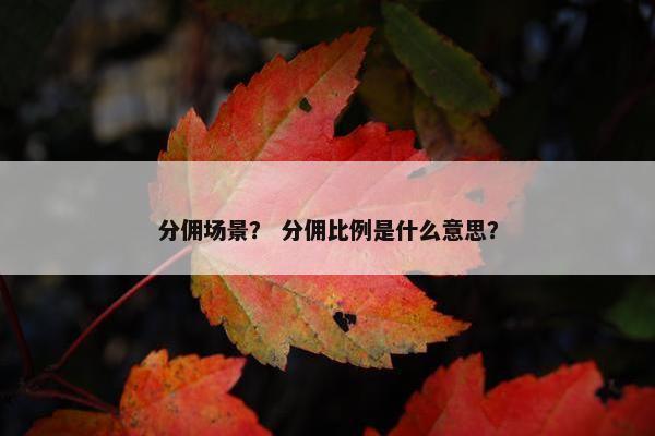 分佣场景？ 分佣比例是什么意思？