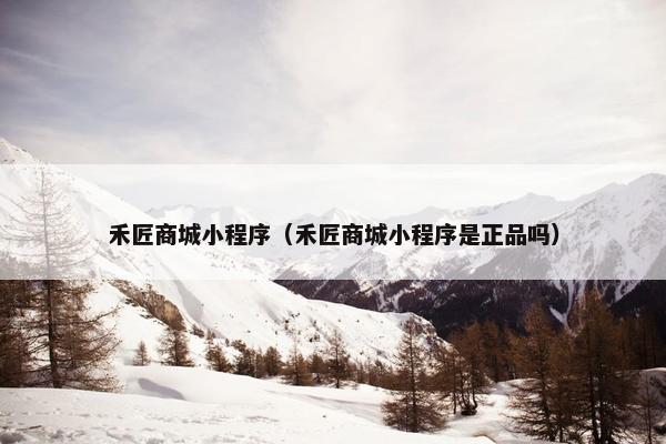 禾匠商城小程序（禾匠商城小程序是正品吗）