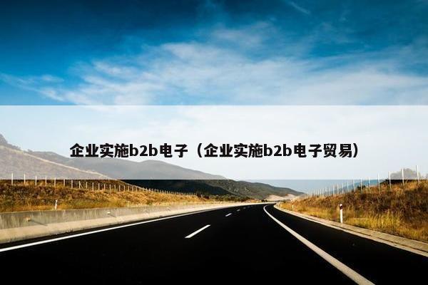 企业实施b2b电子（企业实施b2b电子贸易）