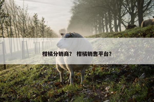 柑橘分销商？ 柑橘销售平台？