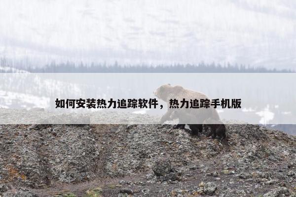 如何安装热力追踪软件，热力追踪手机版
