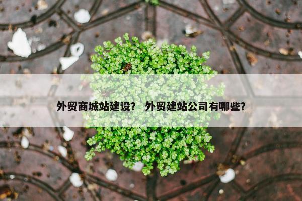 外贸商城站建设？ 外贸建站公司有哪些？