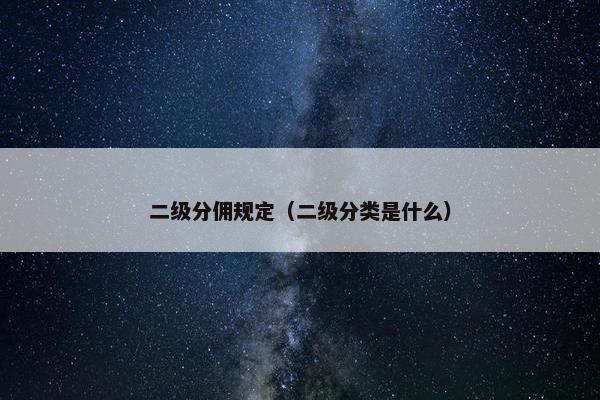 二级分佣规定（二级分类是什么）