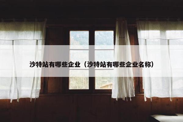 沙特站有哪些企业（沙特站有哪些企业名称）