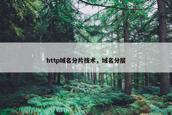 http域名分片技术，域名分层