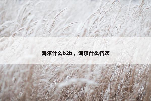 海尔什么b2b，海尔什么档次