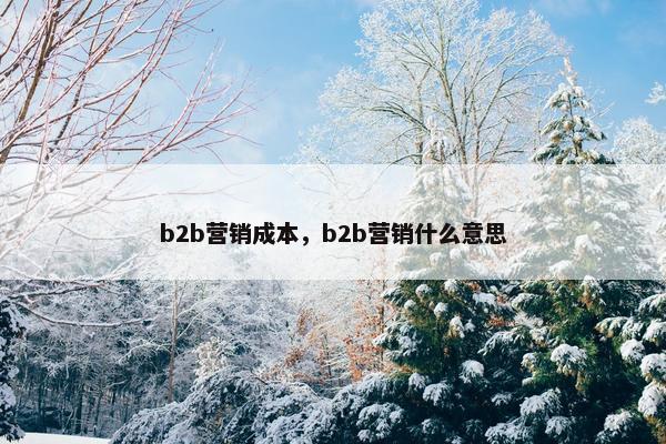 b2b营销成本，b2b营销什么意思