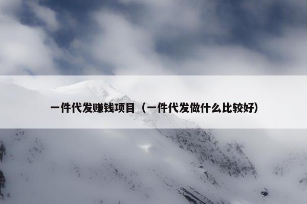 一件代发赚钱项目（一件代发做什么比较好）
