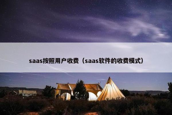 saas按照用户收费（saas软件的收费模式）