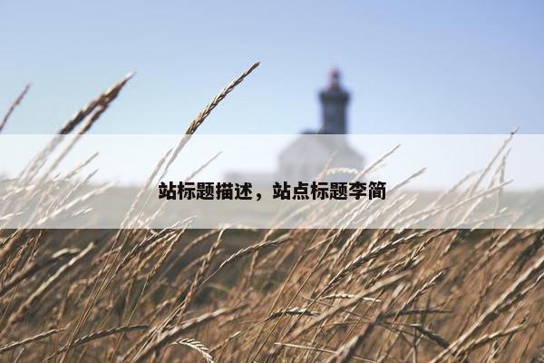 站标题描述，站点标题李简