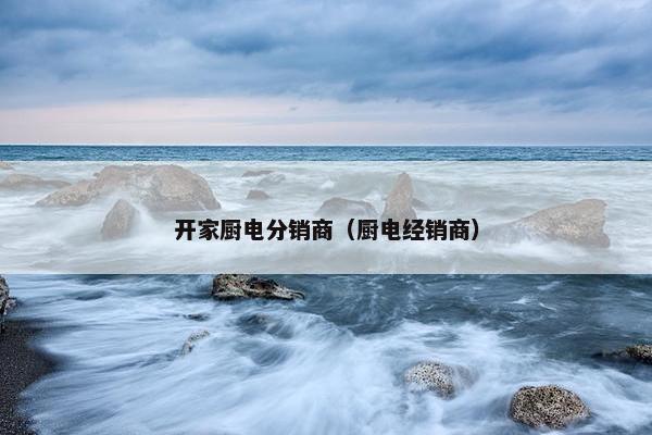 开家厨电分销商（厨电经销商）
