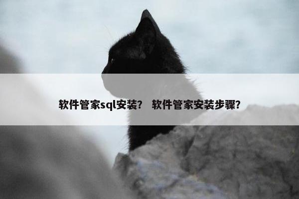 软件管家sql安装？ 软件管家安装步骤？