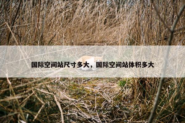 国际空间站尺寸多大，国际空间站体积多大