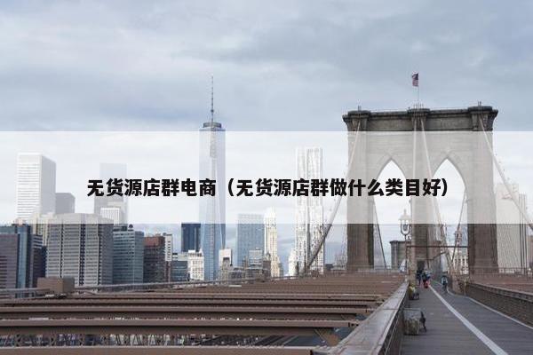 无货源店群电商（无货源店群做什么类目好）