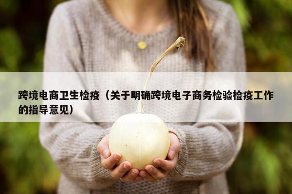 跨境电商卫生检疫（关于明确跨境电子商务检验检疫工作的指导意见）