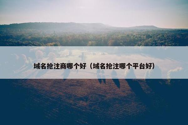 域名抢注商哪个好（域名抢注哪个平台好）