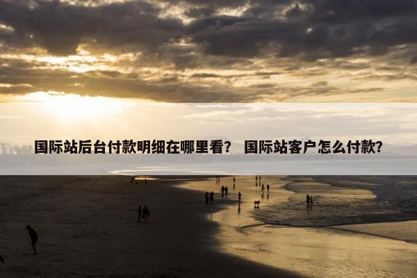 国际站后台付款明细在哪里看？ 国际站客户怎么付款？