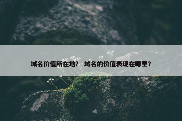 域名价值所在地？ 域名的价值表现在哪里？