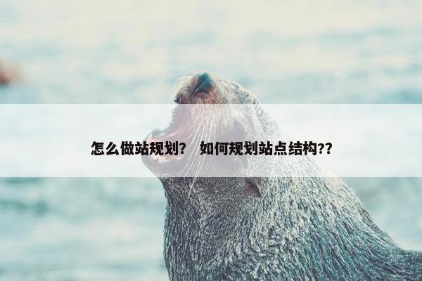 怎么做站规划？ 如何规划站点结构?？