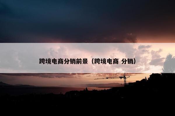 跨境电商分销前景（跨境电商 分销）