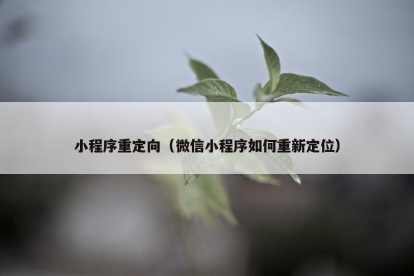 小程序重定向（微信小程序如何重新定位）