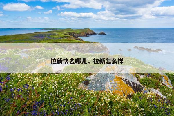 拉新快去哪儿，拉新怎么样