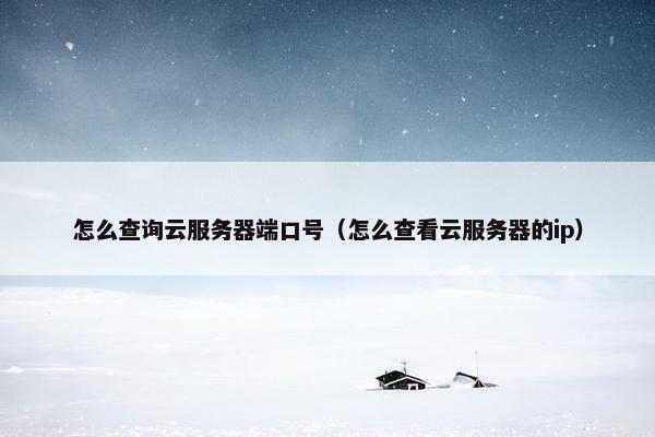 怎么查询云服务器端口号（怎么查看云服务器的ip）