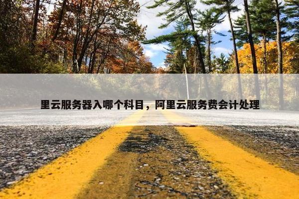 里云服务器入哪个科目，阿里云服务费会计处理