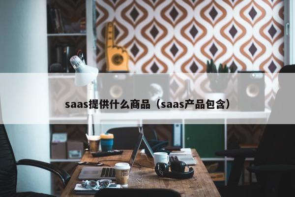 saas提供什么商品（saas产品包含）
