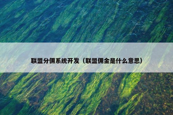联盟分佣系统开发（联盟佣金是什么意思）