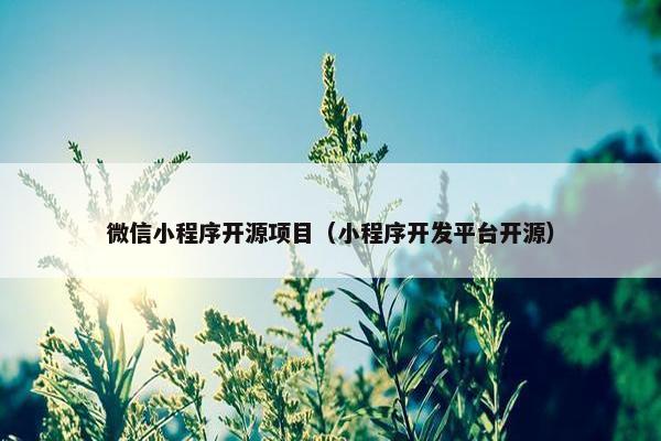 微信小程序开源项目（小程序开发平台开源）