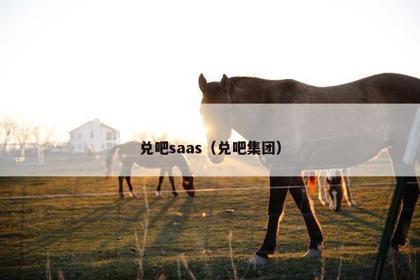 兑吧saas（兑吧集团）