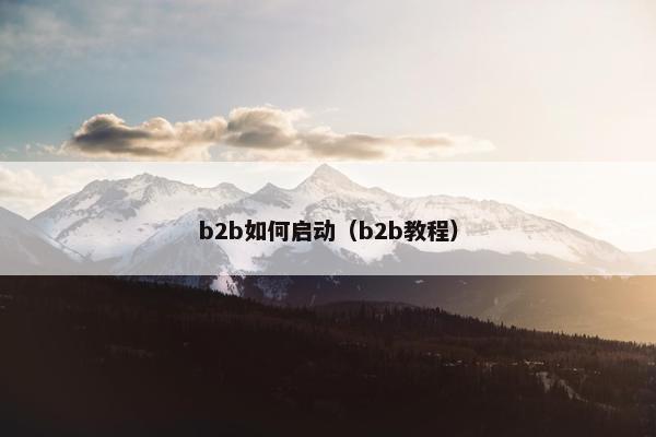 b2b如何启动（b2b教程）