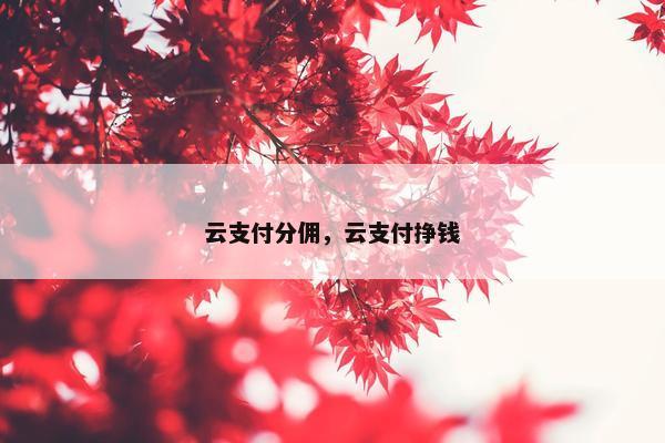 云支付分佣，云支付挣钱