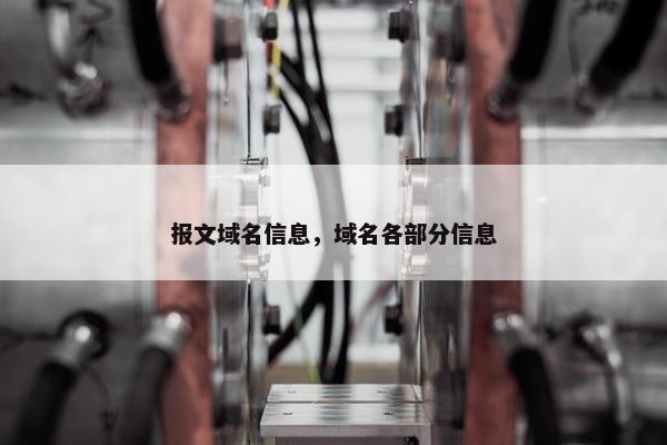 报文域名信息，域名各部分信息