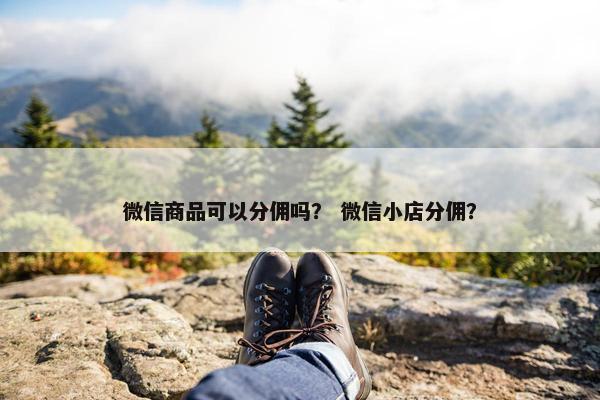 微信商品可以分佣吗？ 微信小店分佣？