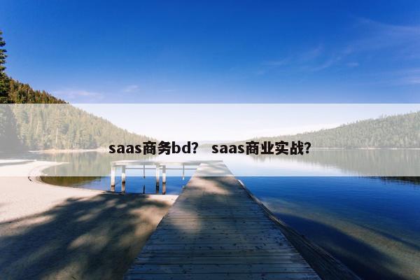 saas商务bd？ saas商业实战？