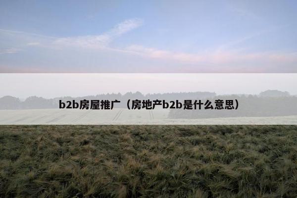 b2b房屋推广（房地产b2b是什么意思）