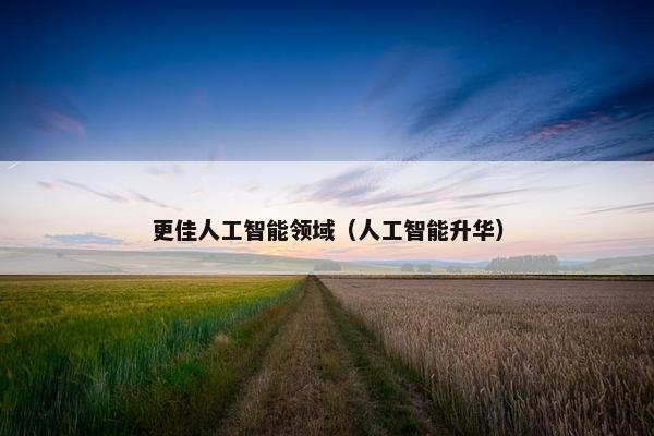 更佳人工智能领域（人工智能升华）