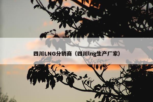 四川LNG分销商（四川lng生产厂家）
